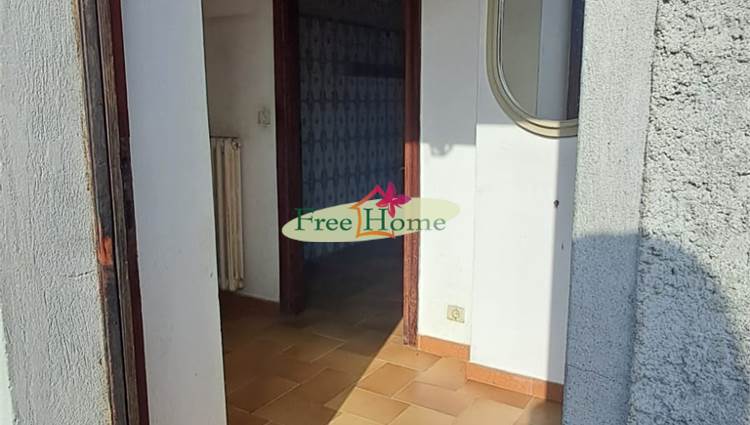 ingresso